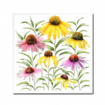 Podložka echinacea